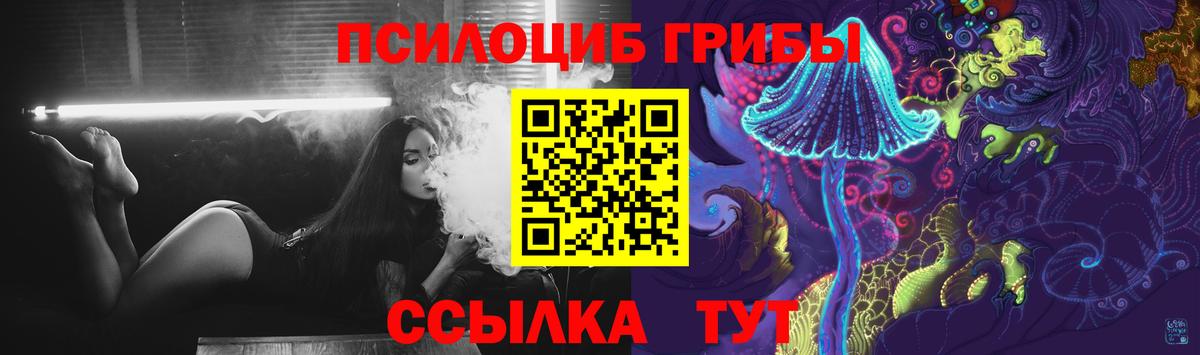 Псилоцибиновые грибы прущие грибы Бор